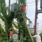 Power crisis in Gautam Bihar Colony! Supply disrupted for hours; consumers kept trying to call, but officials remained unavailable—questions raised regarding the functioning of the Badalalpur feeder.