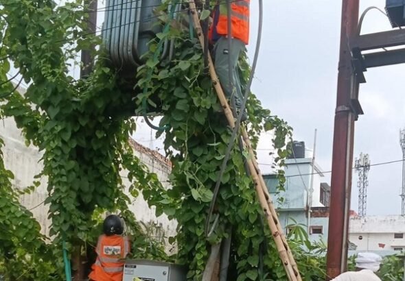 Power crisis in Gautam Bihar Colony! Supply disrupted for hours; consumers kept trying to call, but officials remained unavailable—questions raised regarding the functioning of the Badalalpur feeder.