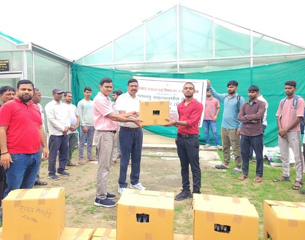 Grafted brinjal will offer farmers a new direction for advanced and profitable cultivation; scientific techniques will boost productivity and income.