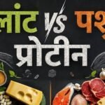 Plant protein or animal protein—which is better? Find out expert opinions and the right amount.