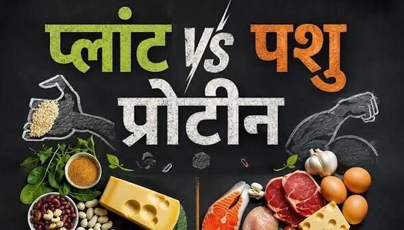 Plant protein or animal protein—which is better? Find out expert opinions and the right amount.