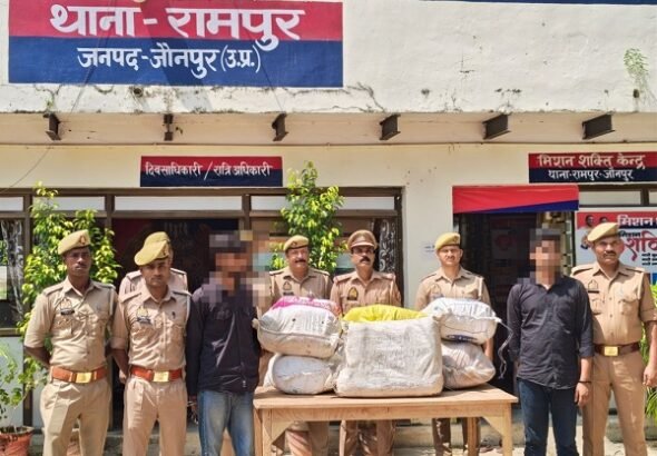 Large consignment of cannabis seized at Bhadohi-Jaunpur border; two arrested with 1.20 quintals of the contraband