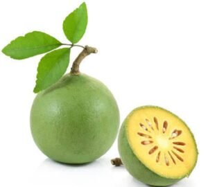 Medicinal Significance of Bael: A Plant Beneficial for Everything from Digestion to Inflammation – Discover Its Properties