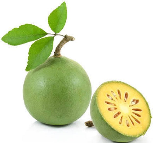 Medicinal Significance of Bael: A Plant Beneficial for Everything from Digestion to Inflammation – Discover Its Properties