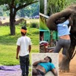 Mahout injured in an elephant attack at the Ramnagar Ramlila passes away; a four-year-old child loses his father